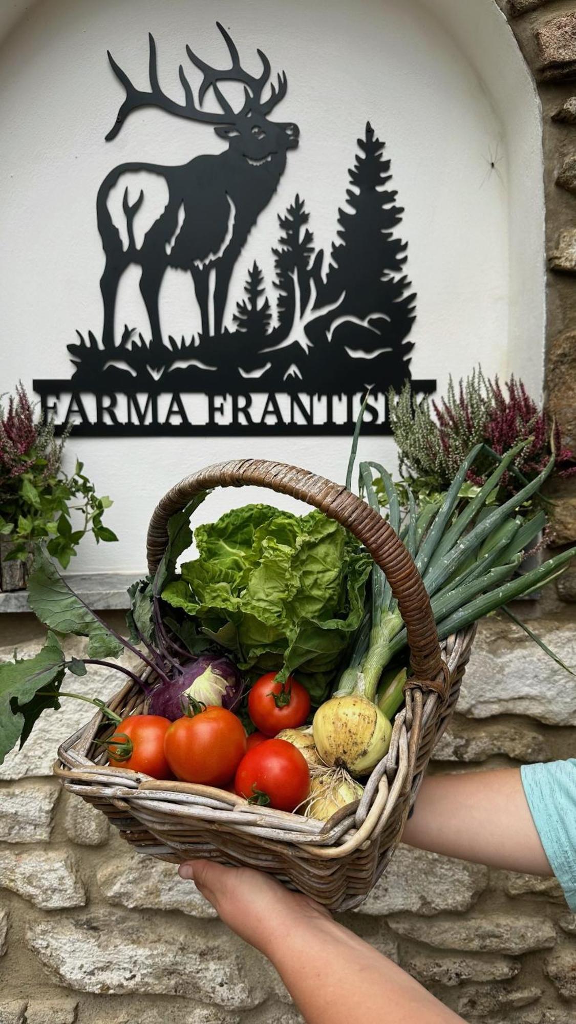 Stachy Farma Frantisek酒店 外观 照片